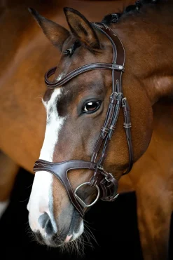 Montar Bridles<Monarch Jumping Bridle Eco Leather
