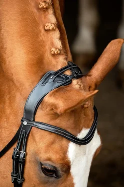 Montar Bridles<Monarch Jumping Bridle Eco Leather