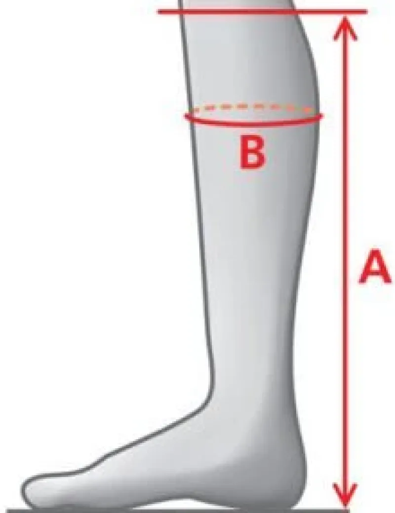 Mountain Horse Long Riding Boots<Sovereign High Rider Boots Black