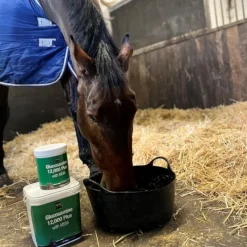 NAF Supplements<Glucosamine 12,000 Plus with MSM