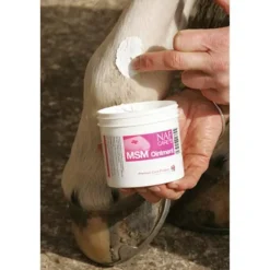 NAF First Aid<Msm Ointment 250G