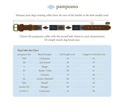 Pampeano Collars And Leads<Leather Dog Collar Hermoso