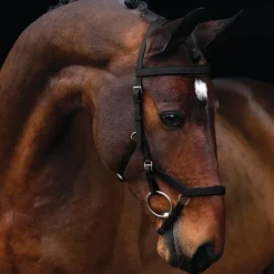 Horseware Bridles<Rambo Micklem Competition Bridle