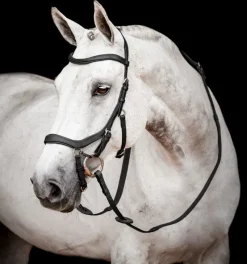 Horseware Bridles<Rambo Micklem Competition Bridle