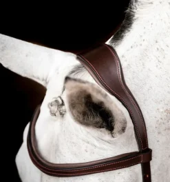 Horseware Bridles<Rambo Micklem Competition Bridle