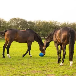 Country Ways Treats<Red Gorilla Dripfeed Treat Ball