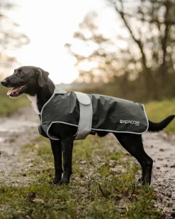 Reincoat Dog Coats<Dog