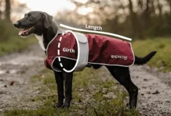 Reincoat Dog Coats<Dog