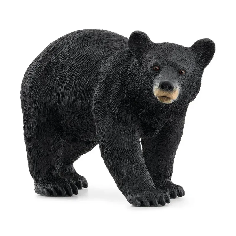 Schleich Toys<American Black Bear