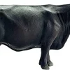 Schleich Toys<Black Angus Cow