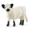 Schleich Toys<Galloway Heifer Cow