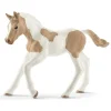 Schleich Toys<Paint Horse Foal