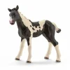 Schleich Toys<Pinto Foal