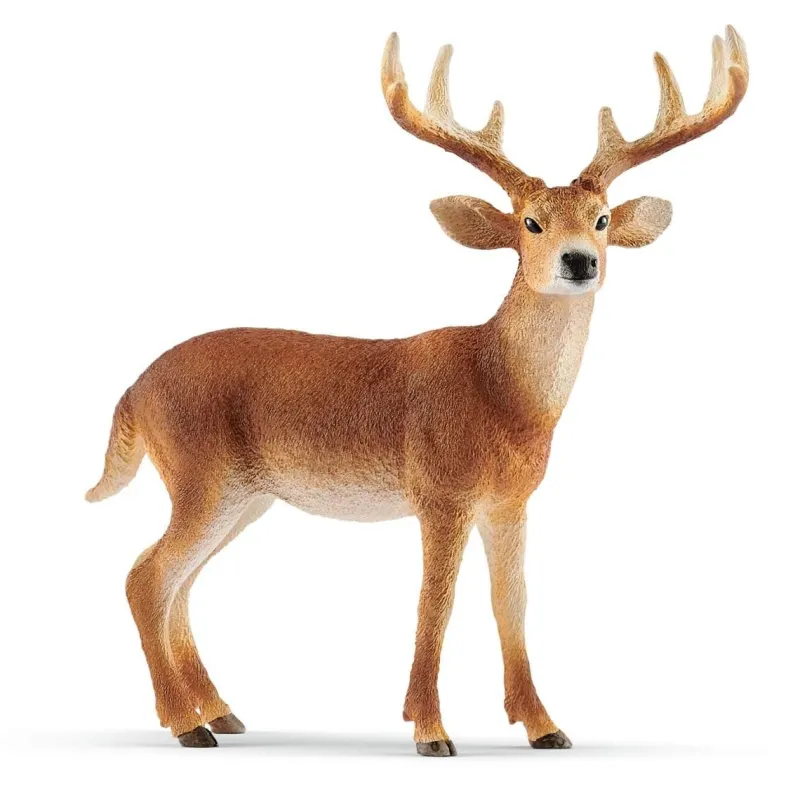 Schleich Toys<White Tailed Buck