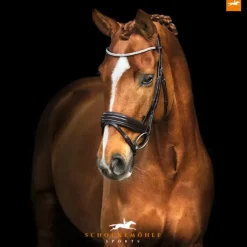 Schockemohle Sports Bridles<Schockemohle Manhattan Double Bridle
