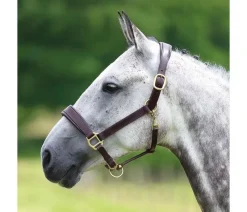 Shires Horse Wear Accessories|Head Collars<Velociti GARA Leather Travel Headcollar