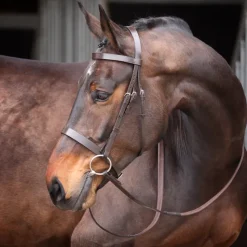 Shires Bridles<Velociti GARA Plain Bridle