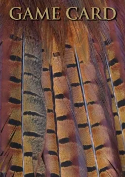 Charles Sainsbury Plaice Stationery<Shoot Game Cards - Pheasant Tail Feathers by Charles Sainsbury-Plaice