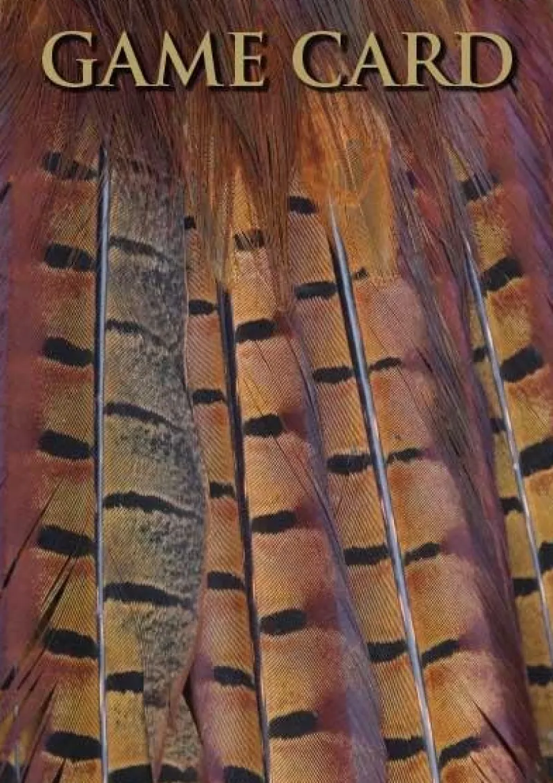 Charles Sainsbury Plaice Stationery<Shoot Game Cards - Pheasant Tail Feathers by Charles Sainsbury-Plaice