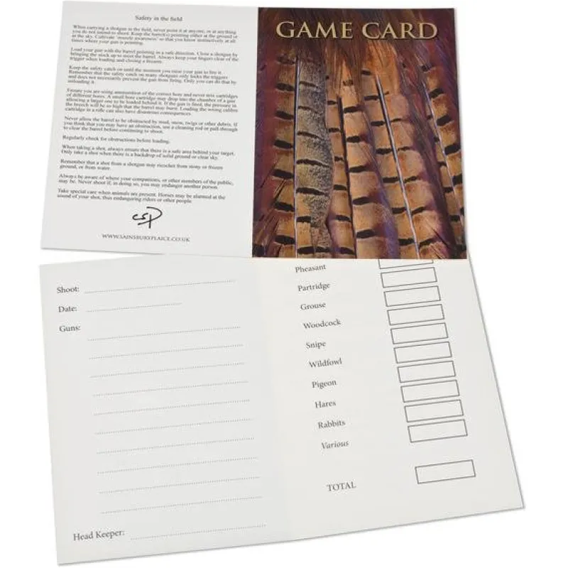 Charles Sainsbury Plaice Stationery<Shoot Game Cards - Pheasant Tail Feathers by Charles Sainsbury-Plaice