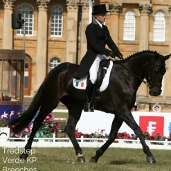Tredstep Jodhpurs & Breeches<Ireland Mens Verde Breeches