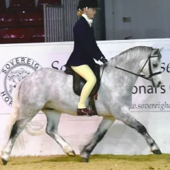 Tuffa Jodhpur Boots<Show Boots