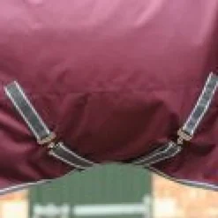 Weatherbeeta Horse Rug Accessories<Comfitec Plus Dynamic II Detach a Neck Medium