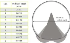 Woof Wear First Aid<Medical Hoof Boot